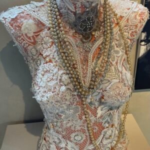 אילנה מושל- כלתיתוש