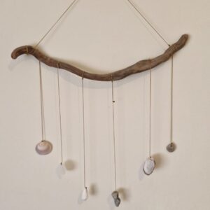 סירת מפרש משורש אקליפטוס וצדפות- גליה יקים הרוש