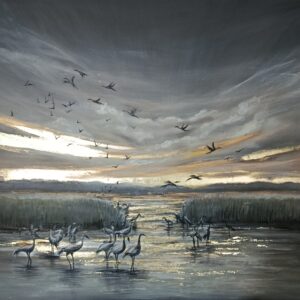 שקיעה קסומה באגמון החולה   ילנה מלכין