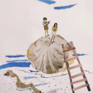 סיפור הצדף    קורין אנדרסון