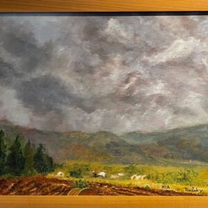 הריי הכרמל - הילה צ'ולסקי