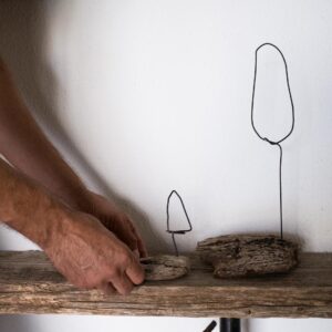 ברושים אמיר אופנהיימר