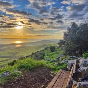 הספסל | קרני חיטין    גליה יקים הרוש