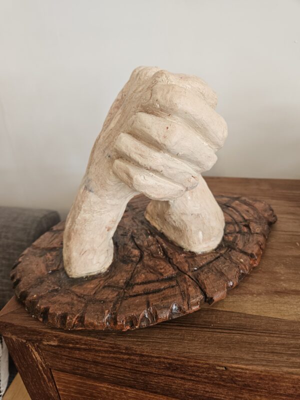 רונית בן נאור