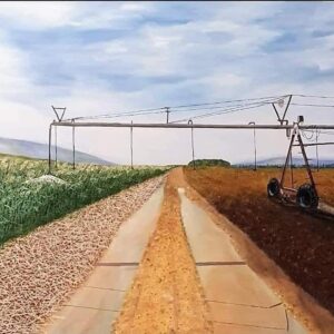 הקו נוע    יואל מרק