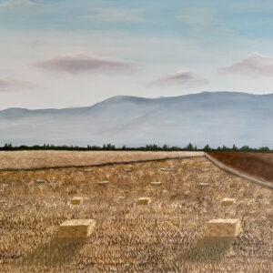 בלות החציר    יואל מרק