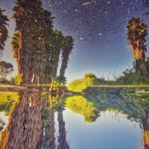 השתקפות    גליה יקים הרוש