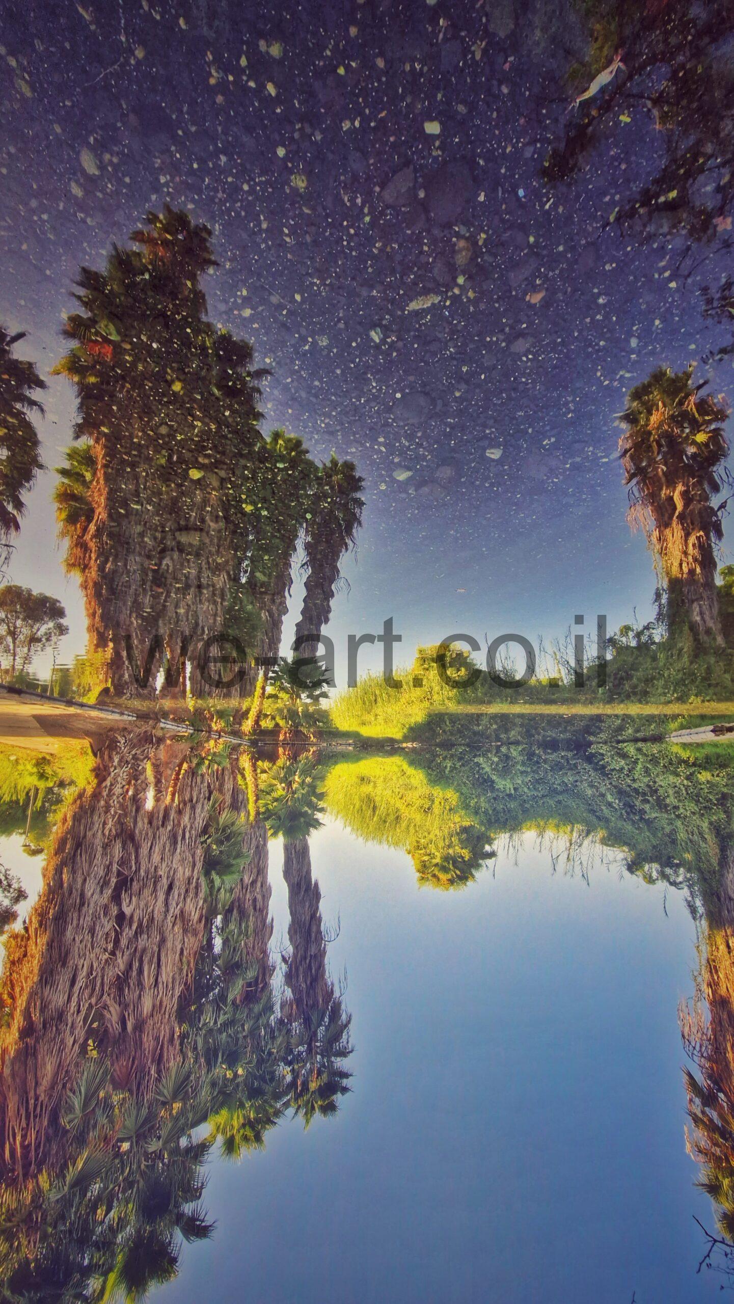 השתקפות    גליה יקים הרוש