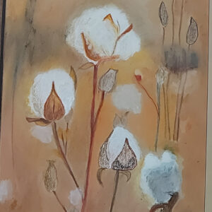 כותנה בצהריי היום רחל רז