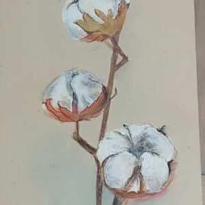 כמה יפה הוא פרח הכותנה   רחל רז