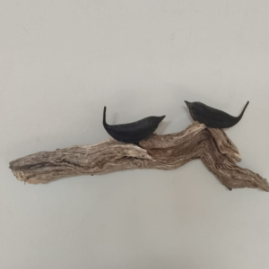 מנוחת הציפורים - רחל שני