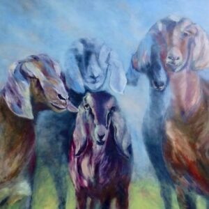 צהרי היום    מיכל אשל